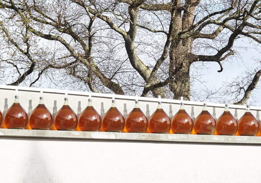 vin blanc moelleux sans sulfites