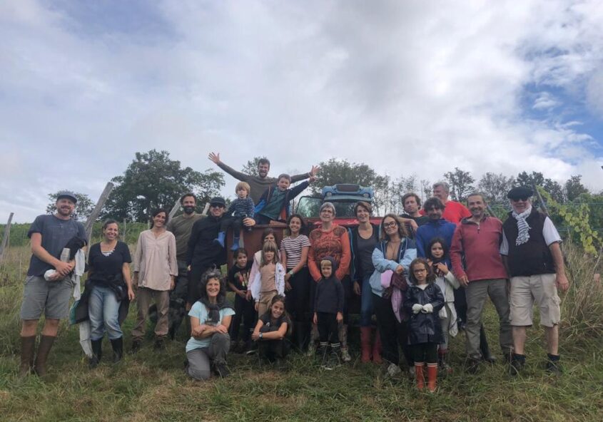 vendanges 2020 chateau lafitte