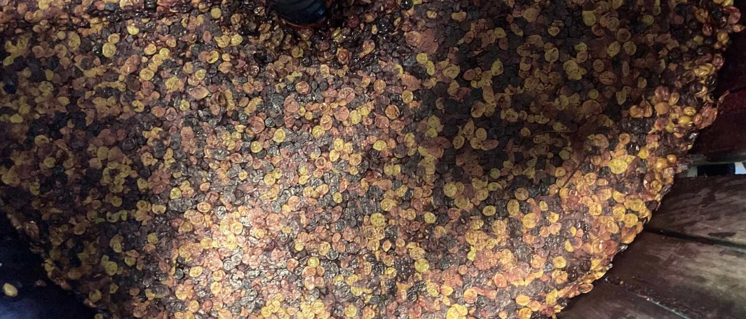 Chateau Lafitte - Le Indicateur - Blouge