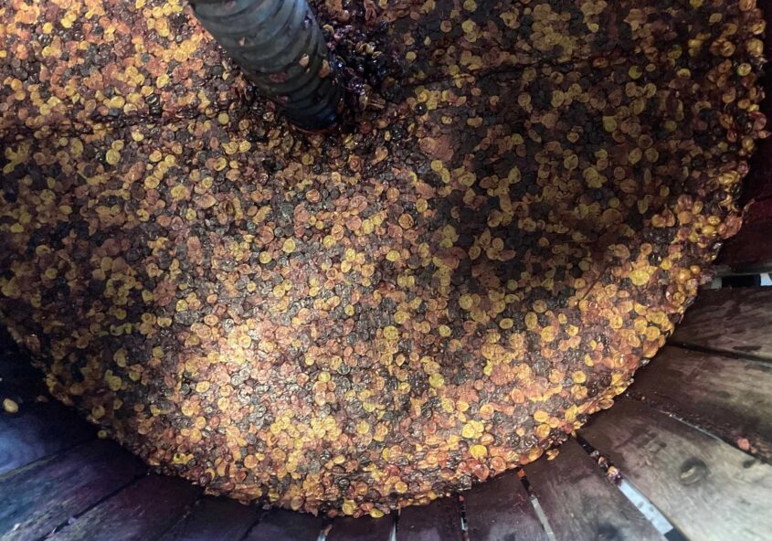 Chateau Lafitte - Le Indicateur - Blouge